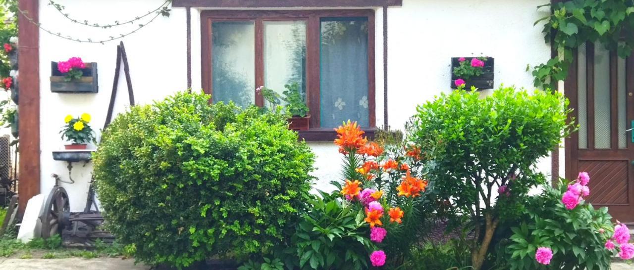 Villa Casa Din Coltul Cetatii Hărman Exterior foto